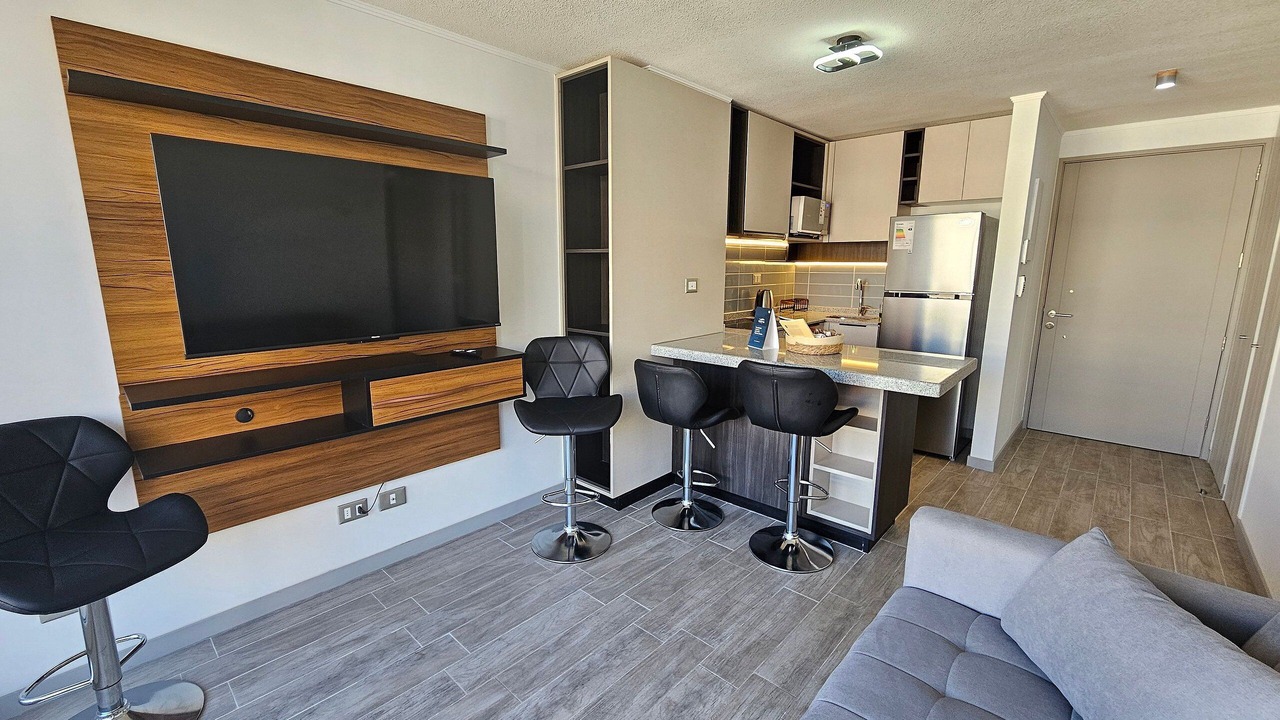 Photo of Livingroom in Downtown Santiago