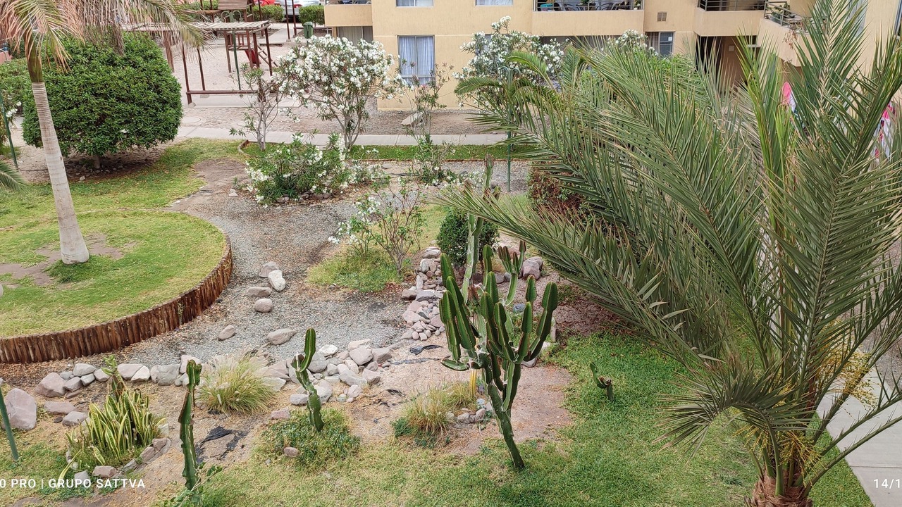 Photo of Outdoor in Arica