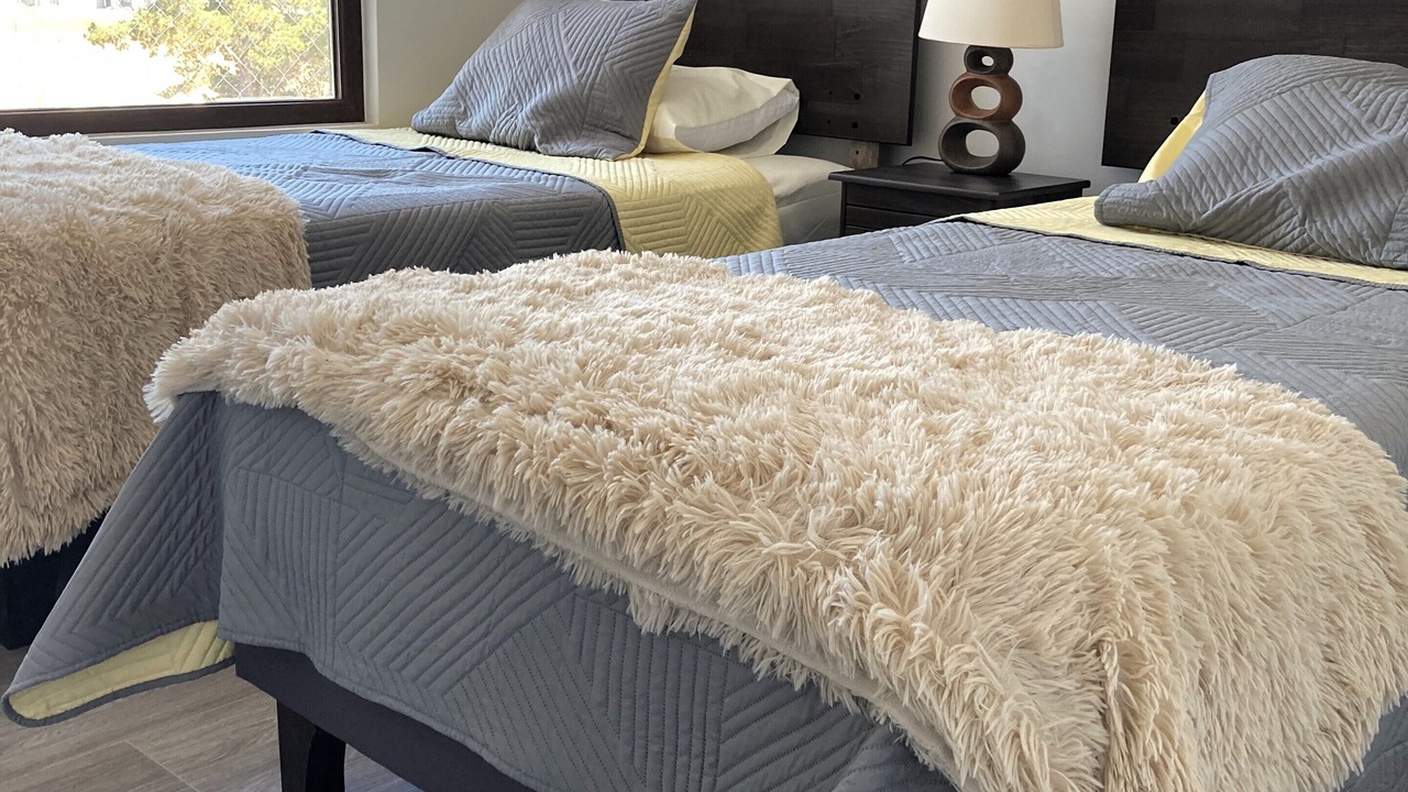 Photo of Bedroom in Renaca