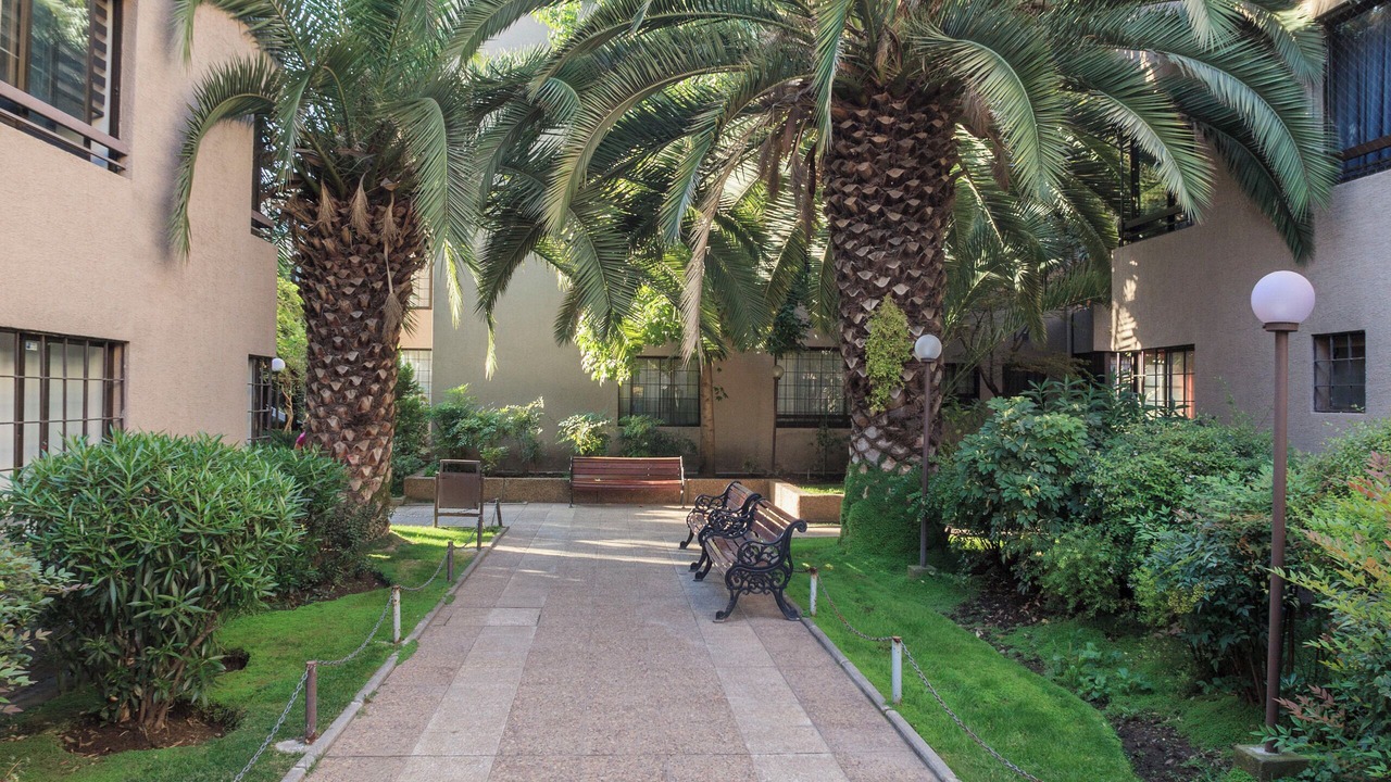 Photo of Outdoor in Santiago