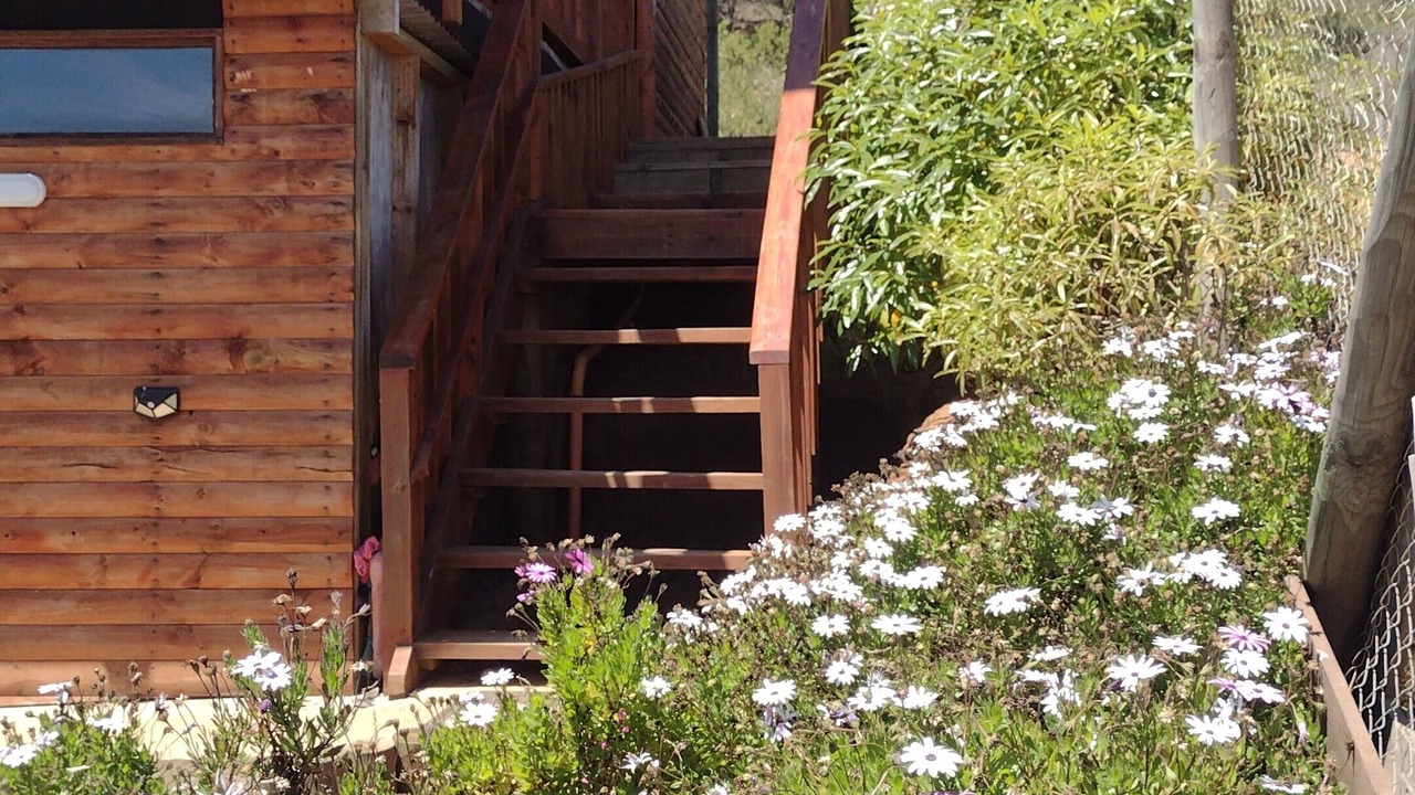 Photo of Outdoor in Algarrobo