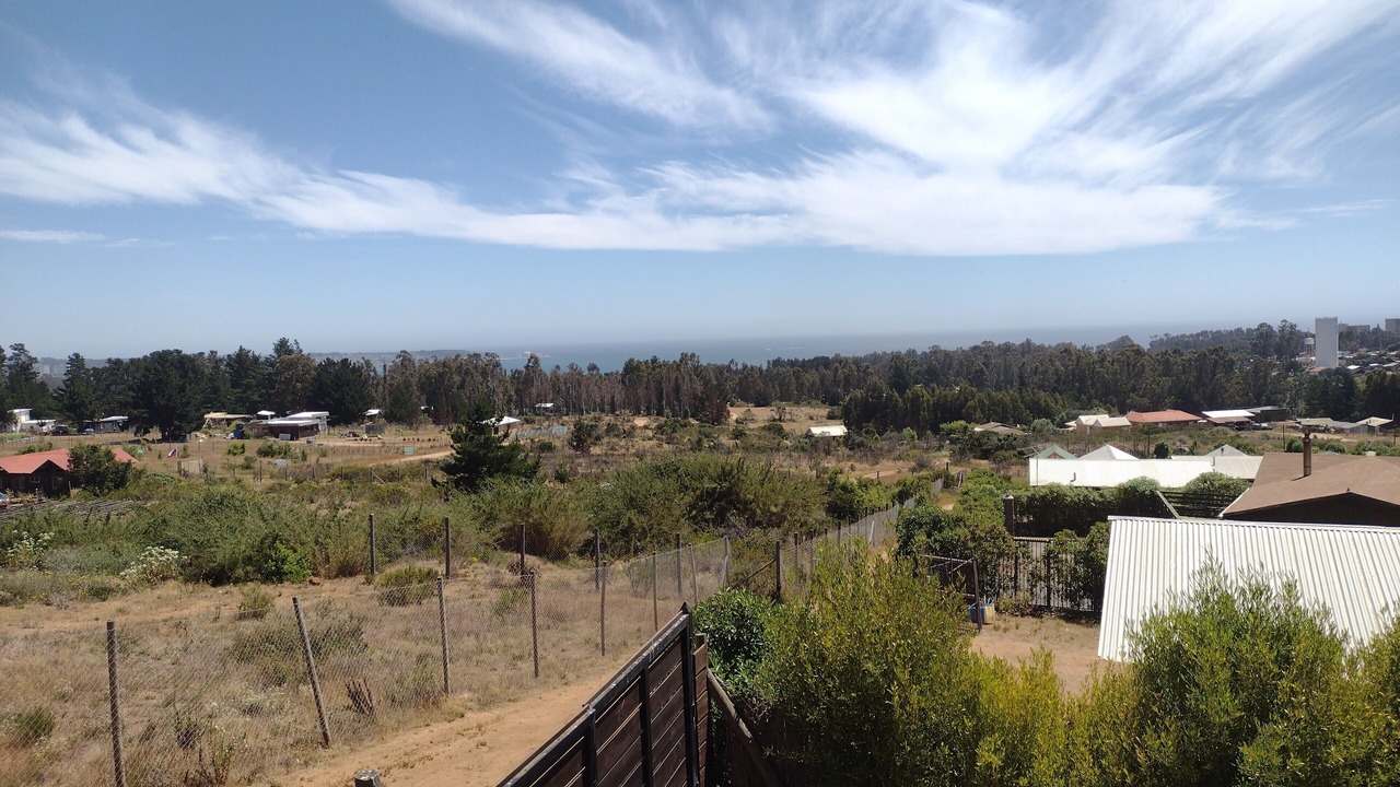 Photo of Others in Algarrobo