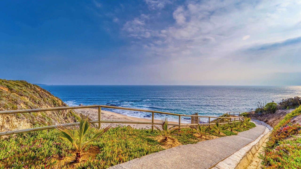 Photo of Others in Algarrobo