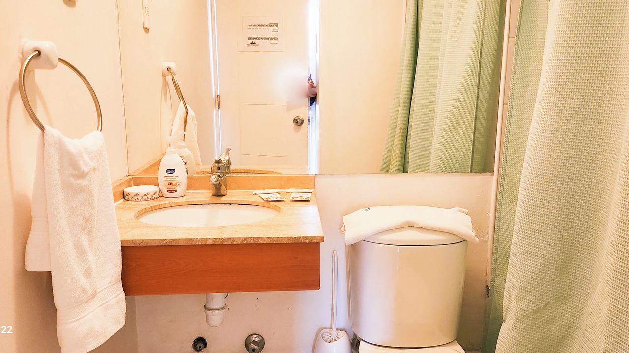 Photo of Bathroom in Downtown Santiago