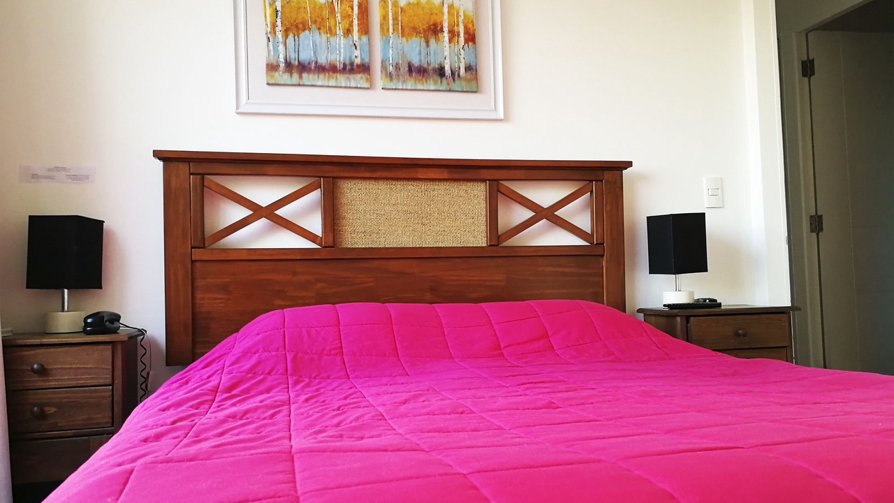 Photo of Bedroom in Downtown Santiago