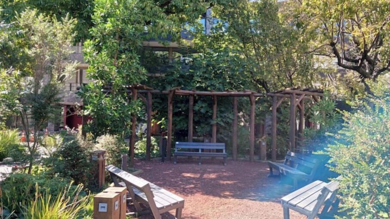 Photo of Outdoor in Pucon