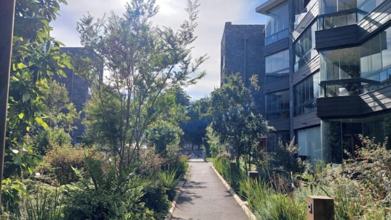 Photo of Outdoor in Pucon