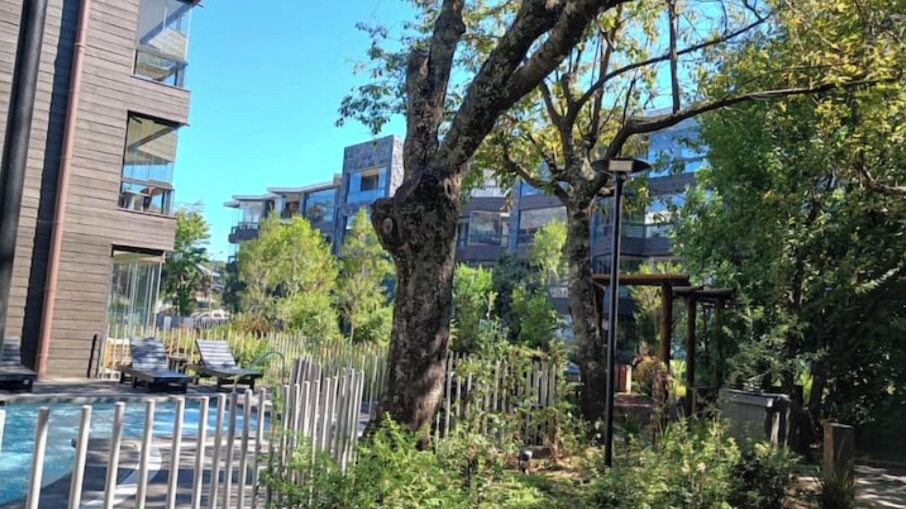 Photo of Outdoor in Pucon