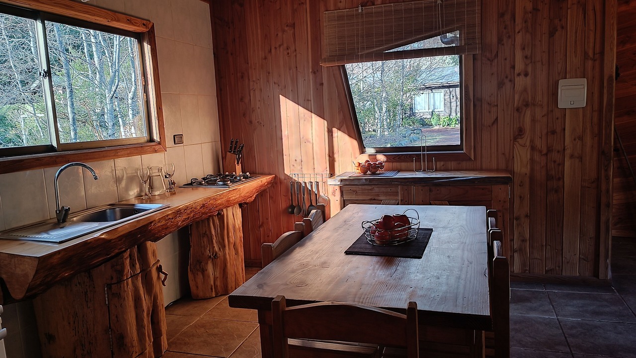 Photo of Kitchen in Panguipulli