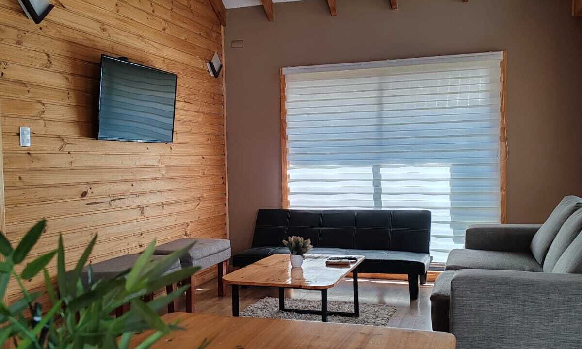Photo of Livingroom in Pucon