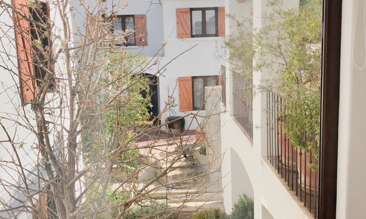 Photo of Others in Zapallar