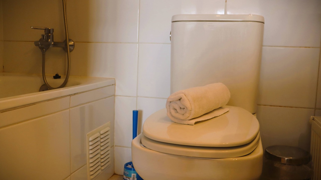 Photo of Bathroom in Valle Nevado
