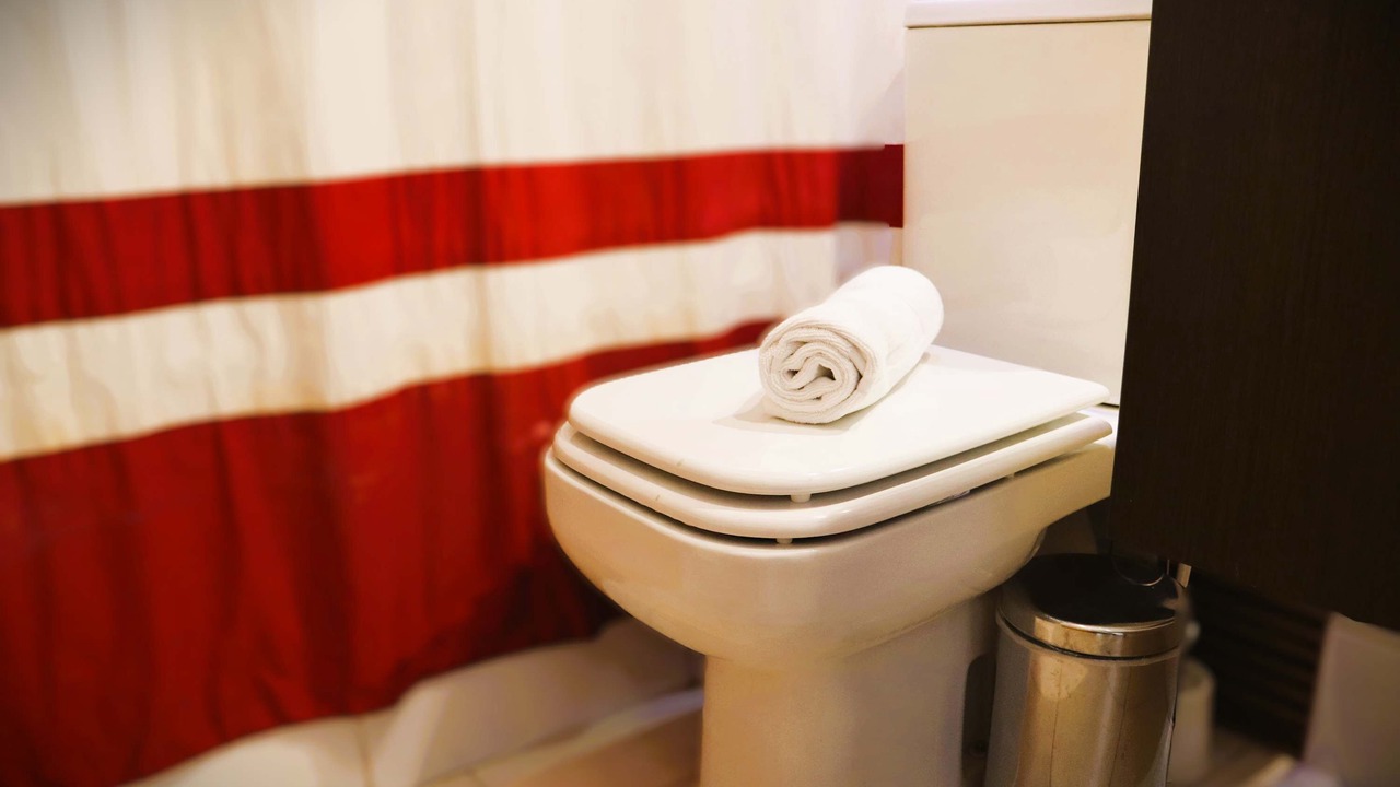 Photo of Bathroom in Valle Nevado
