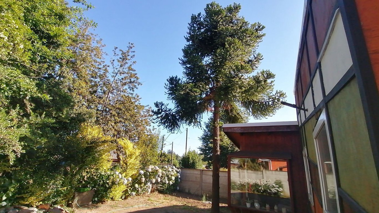 Photo of Outdoor in Lican Ray