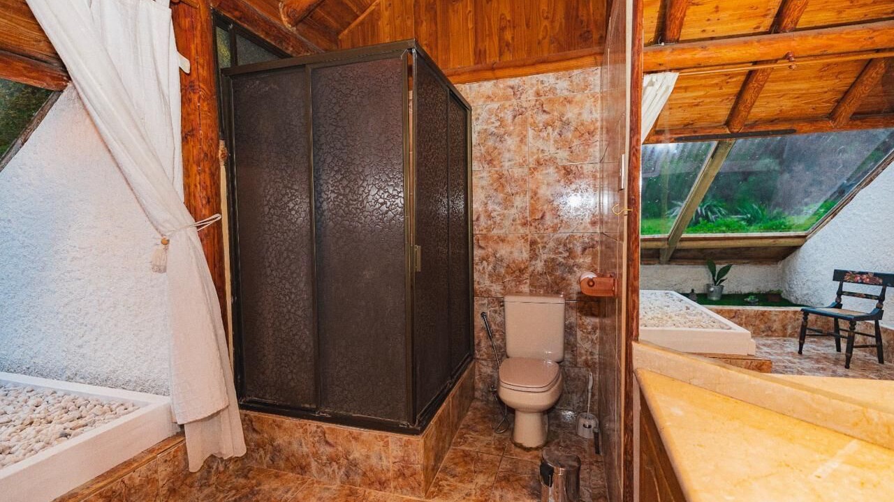 Photo of Bathroom in Pucon
