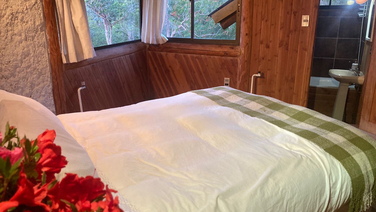 Photo of Bedroom in Pucon