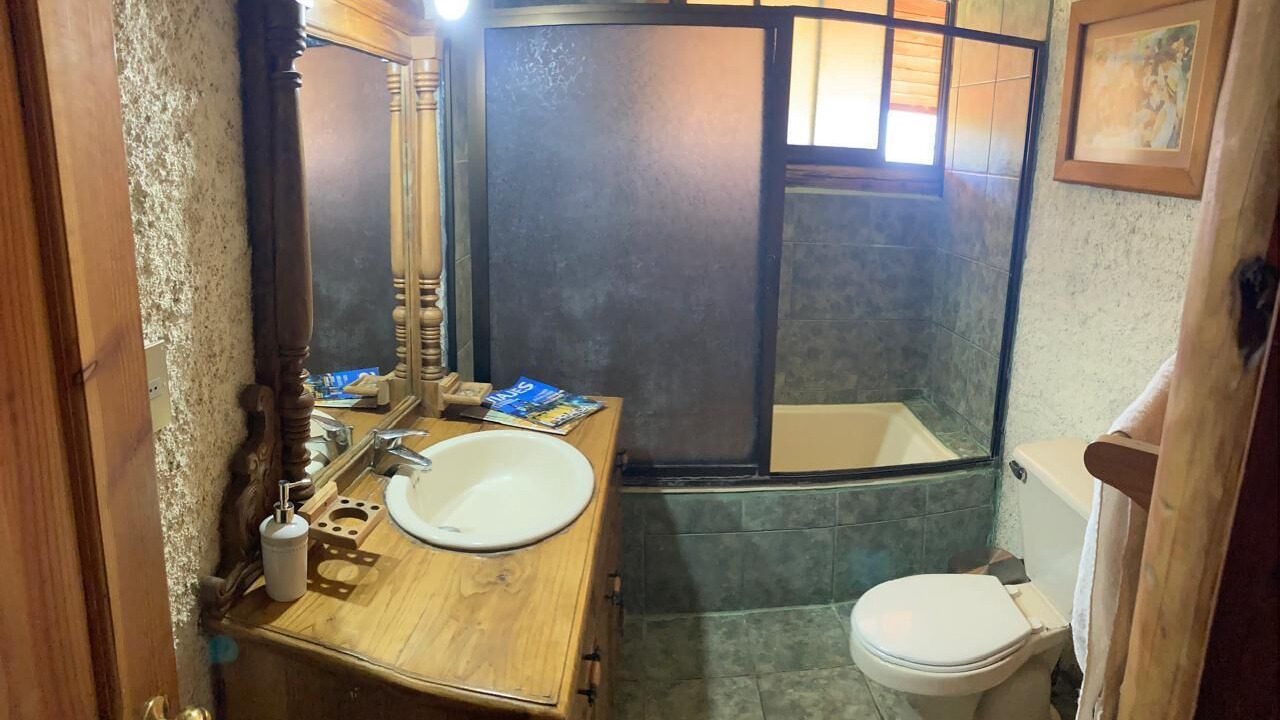 Photo of Bathroom in Pucon