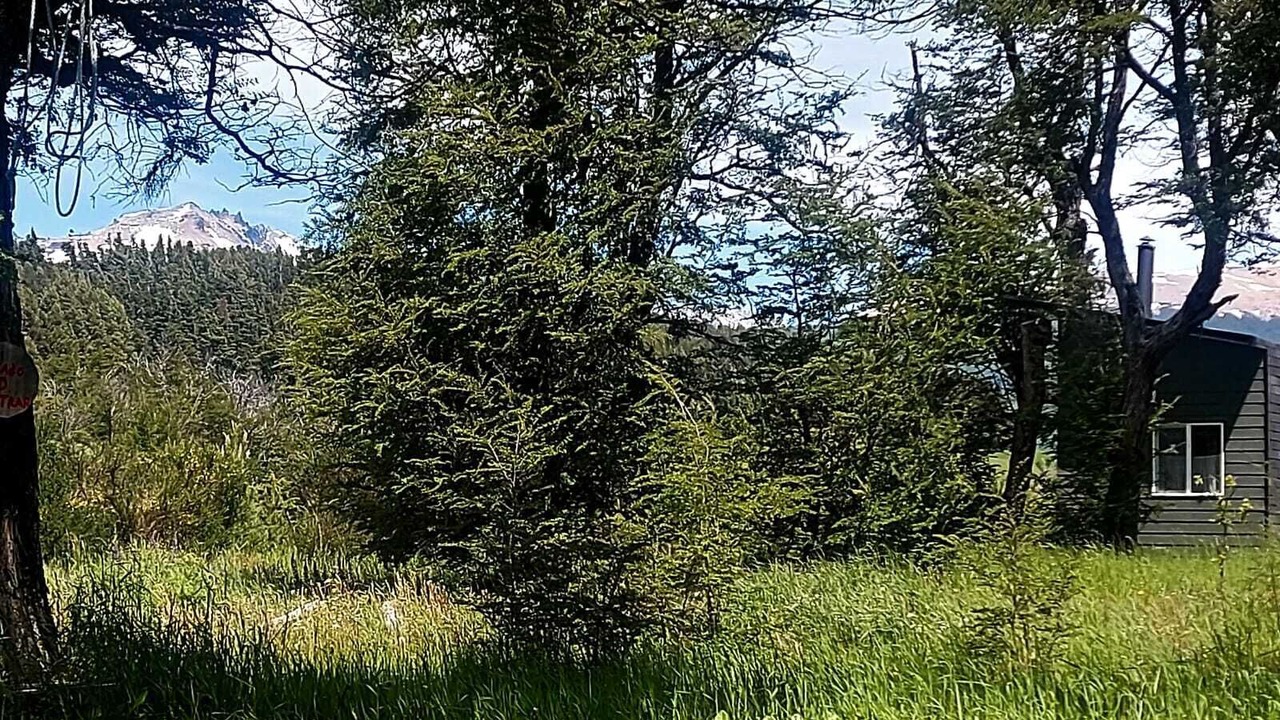 Photo of Outdoor in Coyhaique