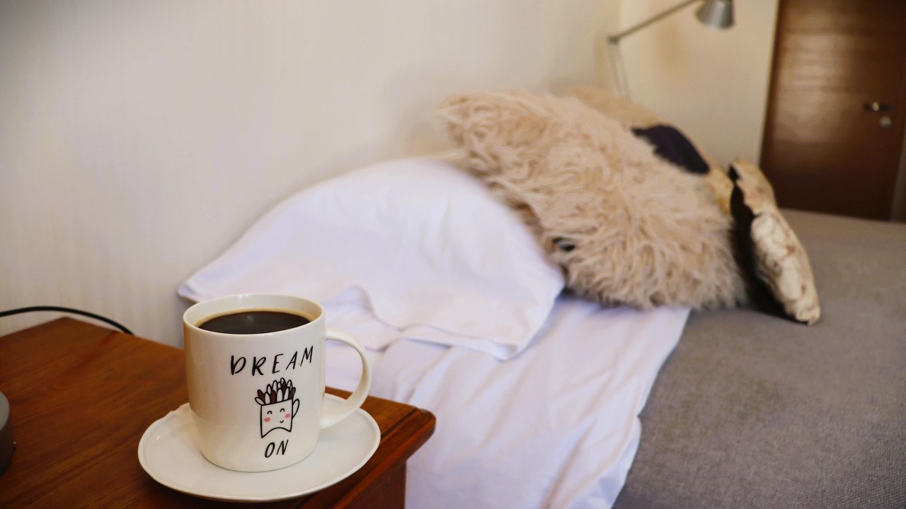 Photo of Bedroom in Valle Nevado
