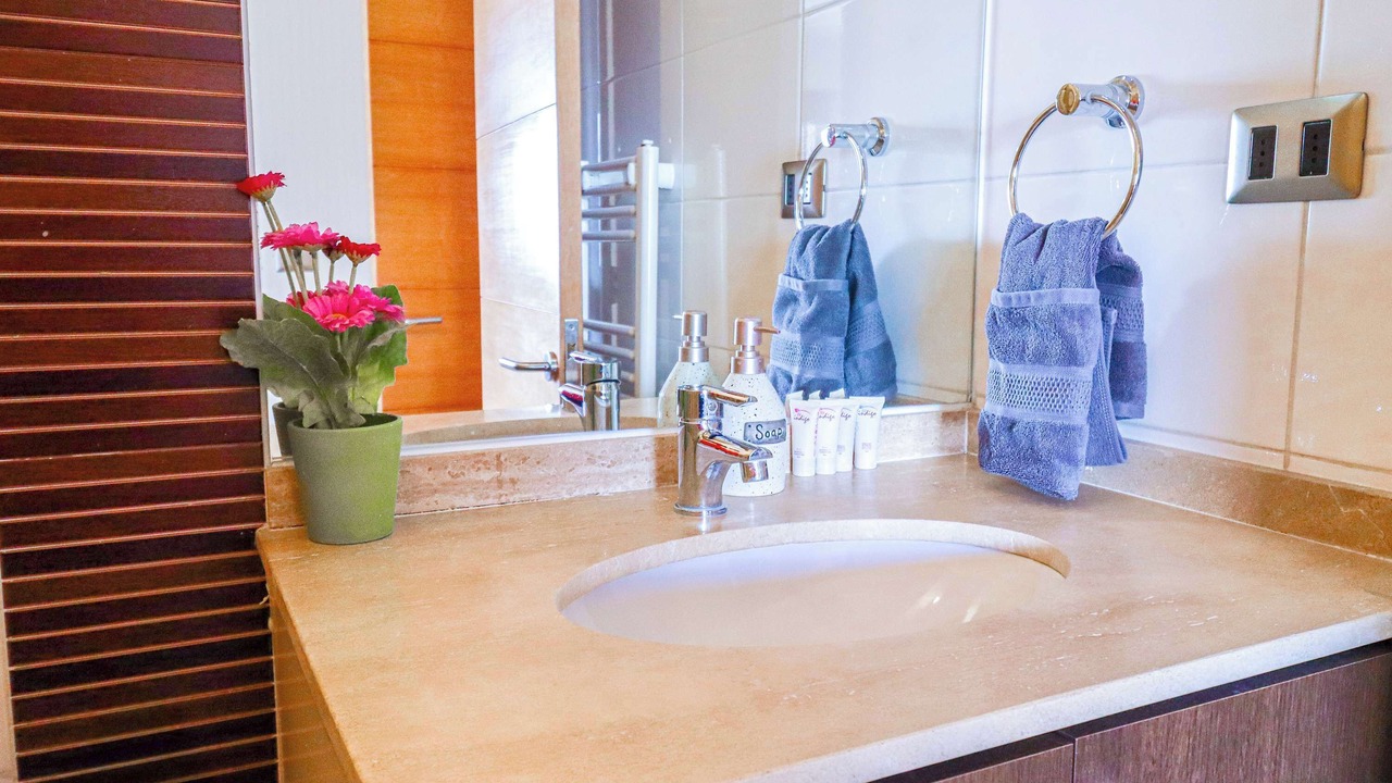 Photo of Bathroom in Valle Nevado