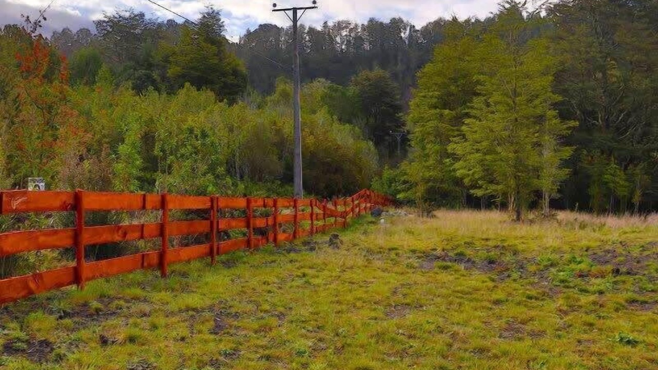 Photo of Others in Puerto Varas