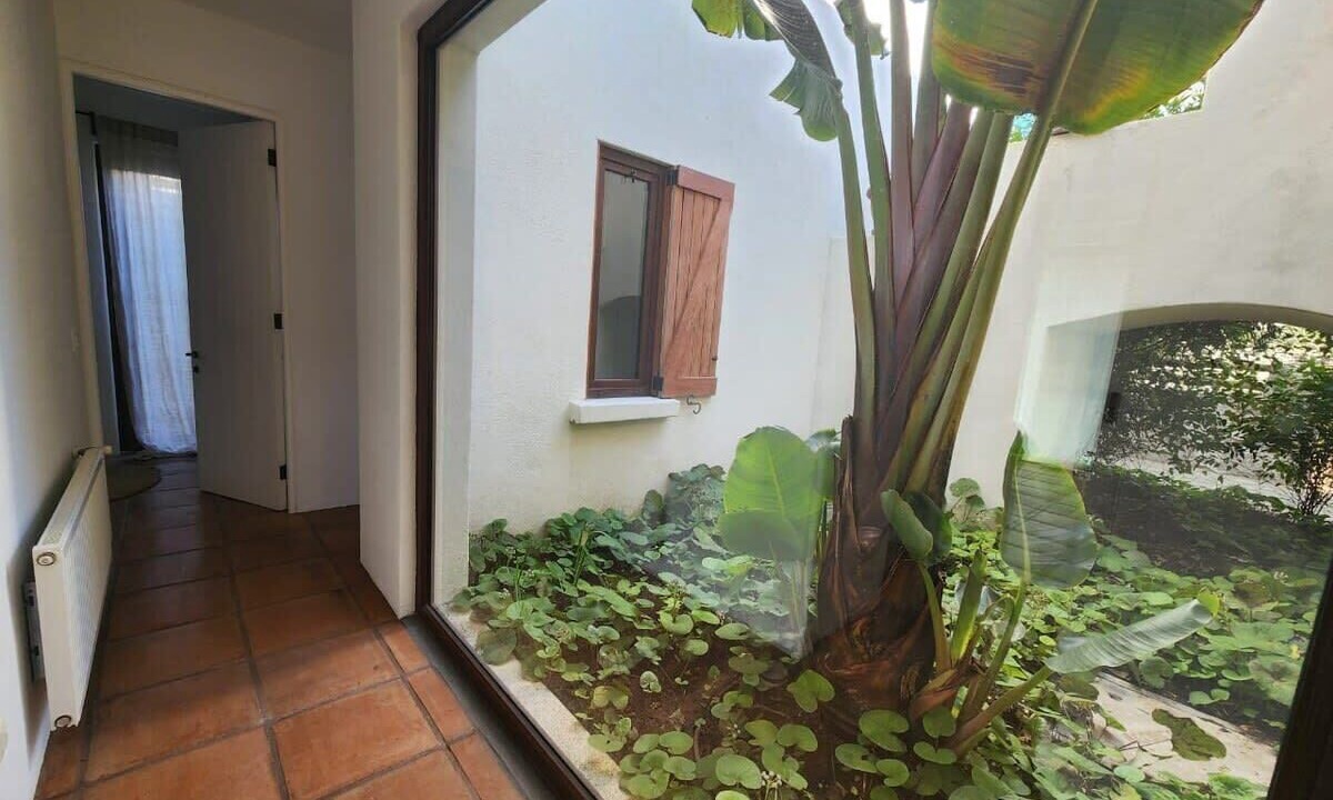 Photo of Outdoor in Cachagua