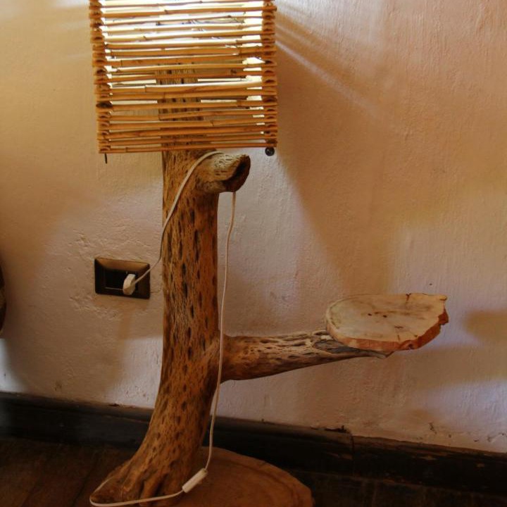 Photo of Others in Pisco Elqui