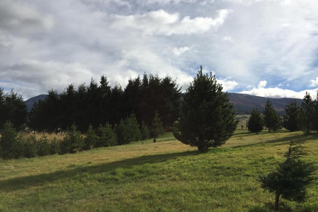 Photo of Others in Coyhaique