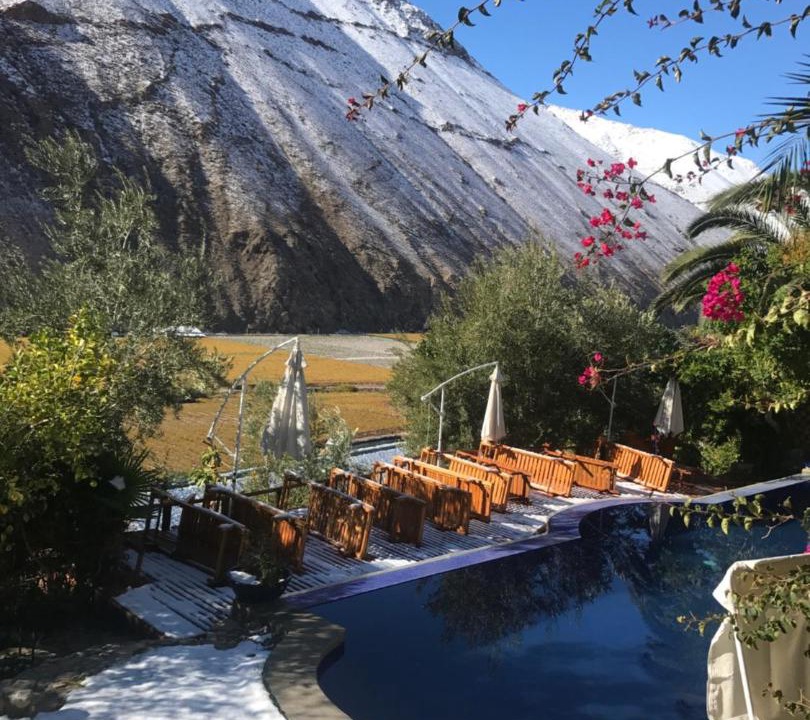 Photo of Others in Pisco Elqui