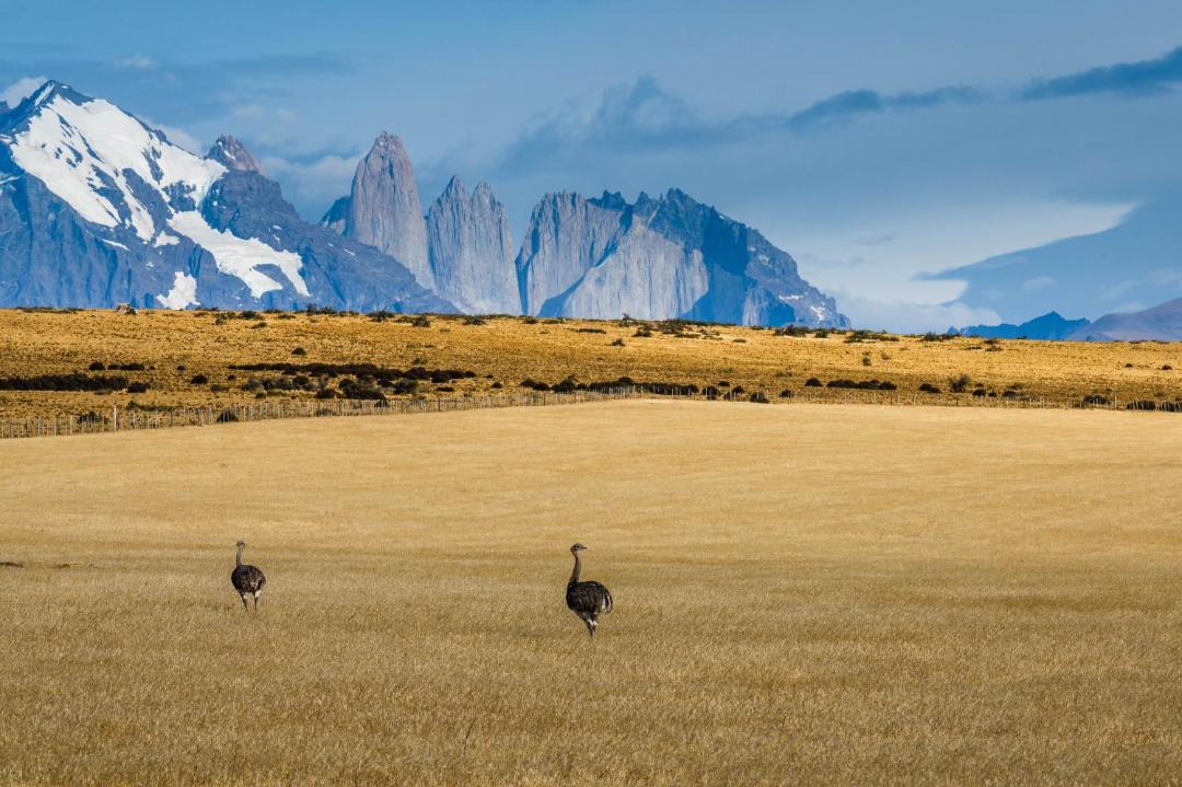 Photo of Others in Chilean Patagonia
