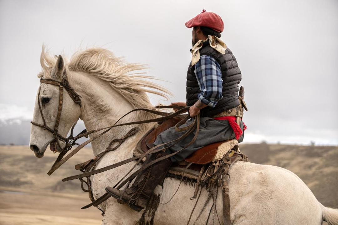 Photo of Human In Picture in Chilean Patagonia