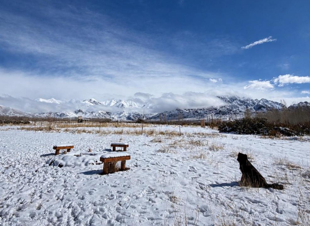 Photo of Others in Uspallata