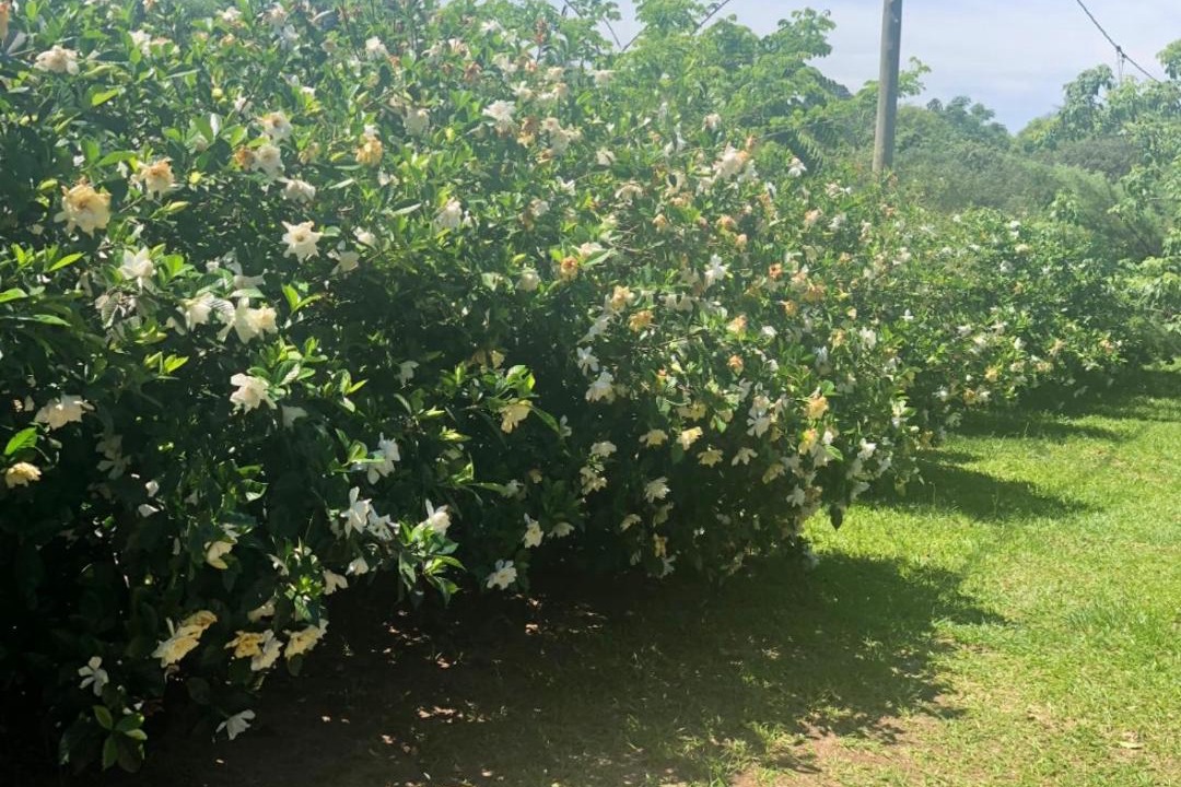 Photo of Others in Puerto Valle