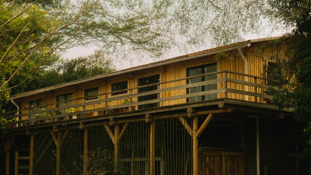 Photo of Others in Bosque Peralta Ramos