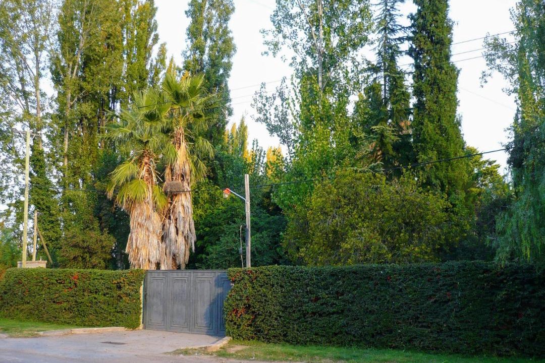 Photo of Others in Maipu