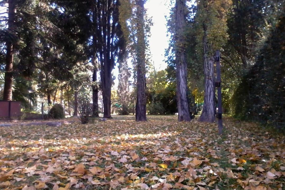 Photo of Outdoor in Maipu