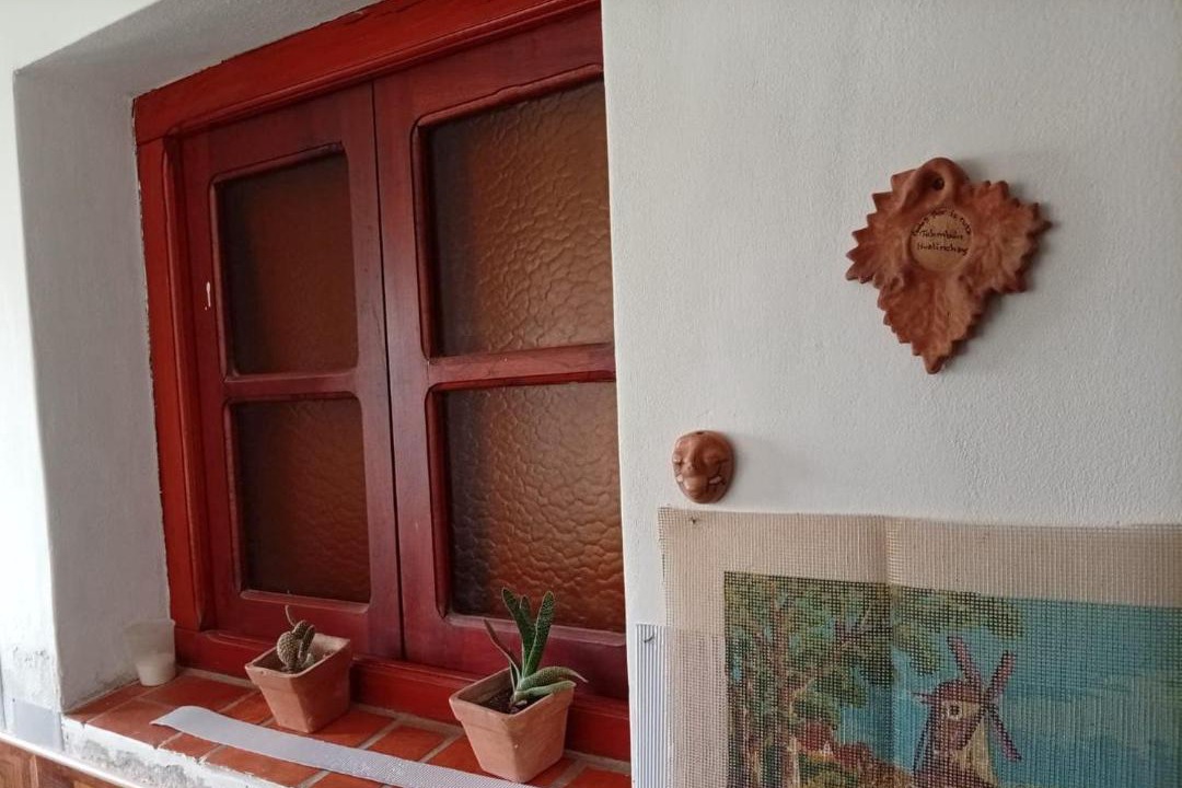 Photo of Others in Cafayate