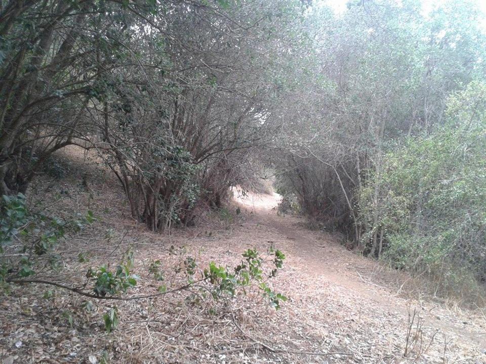 Photo of Others in Melipilla