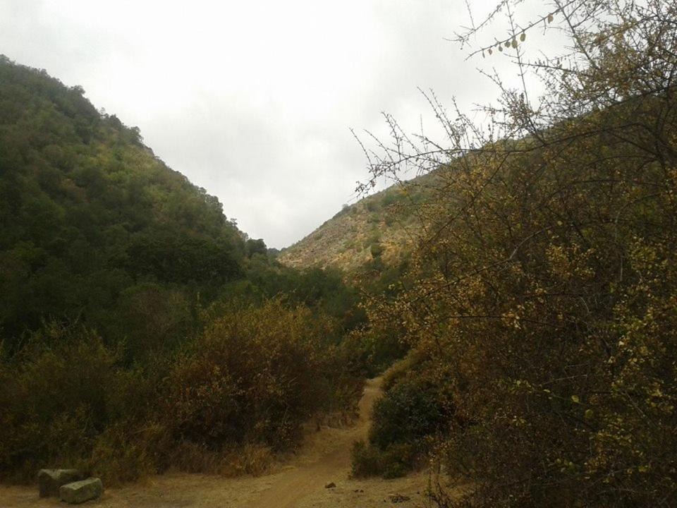 Photo of Others in Melipilla