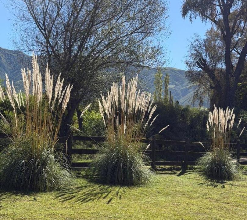 Photo of Others in Tafi del Valle