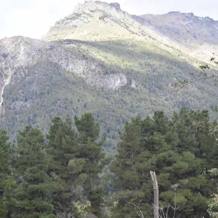 Photo of Others in El Hoyo