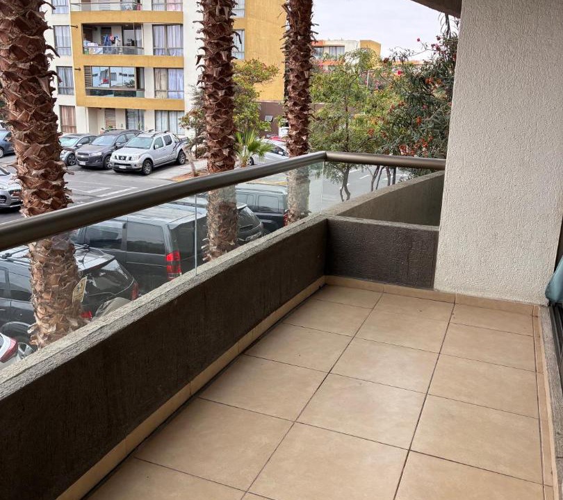 Photo of Others in Arica