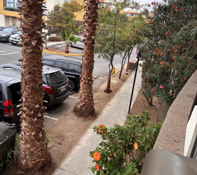 Photo of Others in Arica