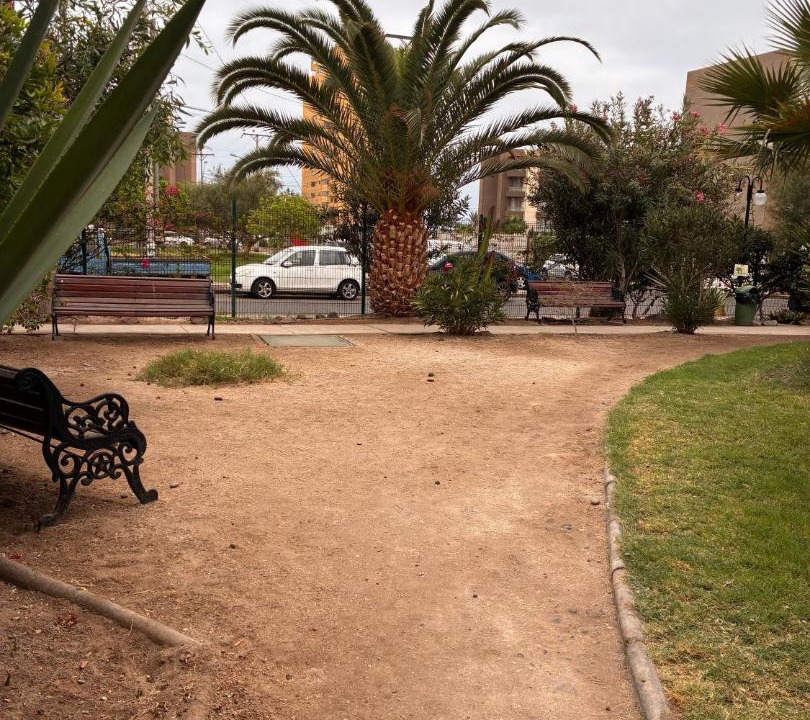 Photo of Others in Arica