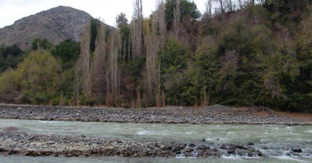 Photo of Others in El Ingenio