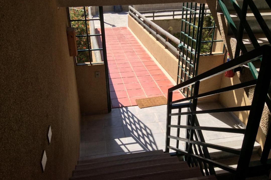 Photo of Others in Caleta Horcon