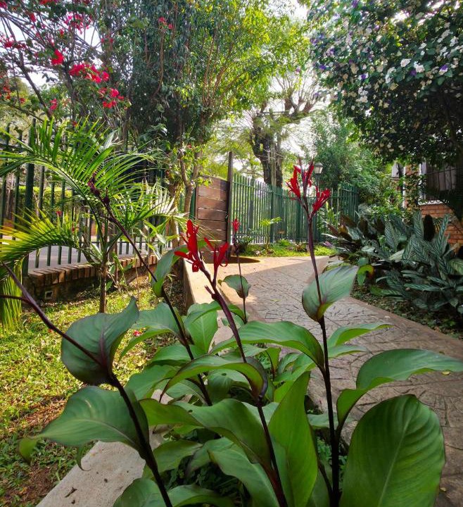 Photo of Others in Puerto Iguazu