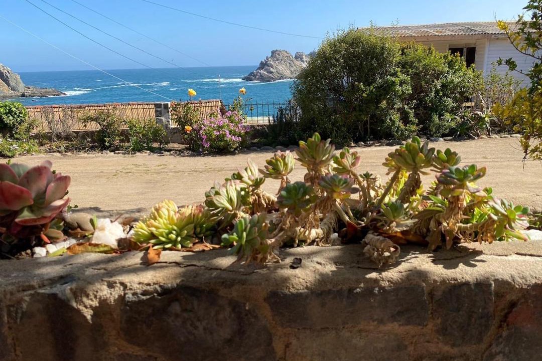 Photo of Others in Pichidangui