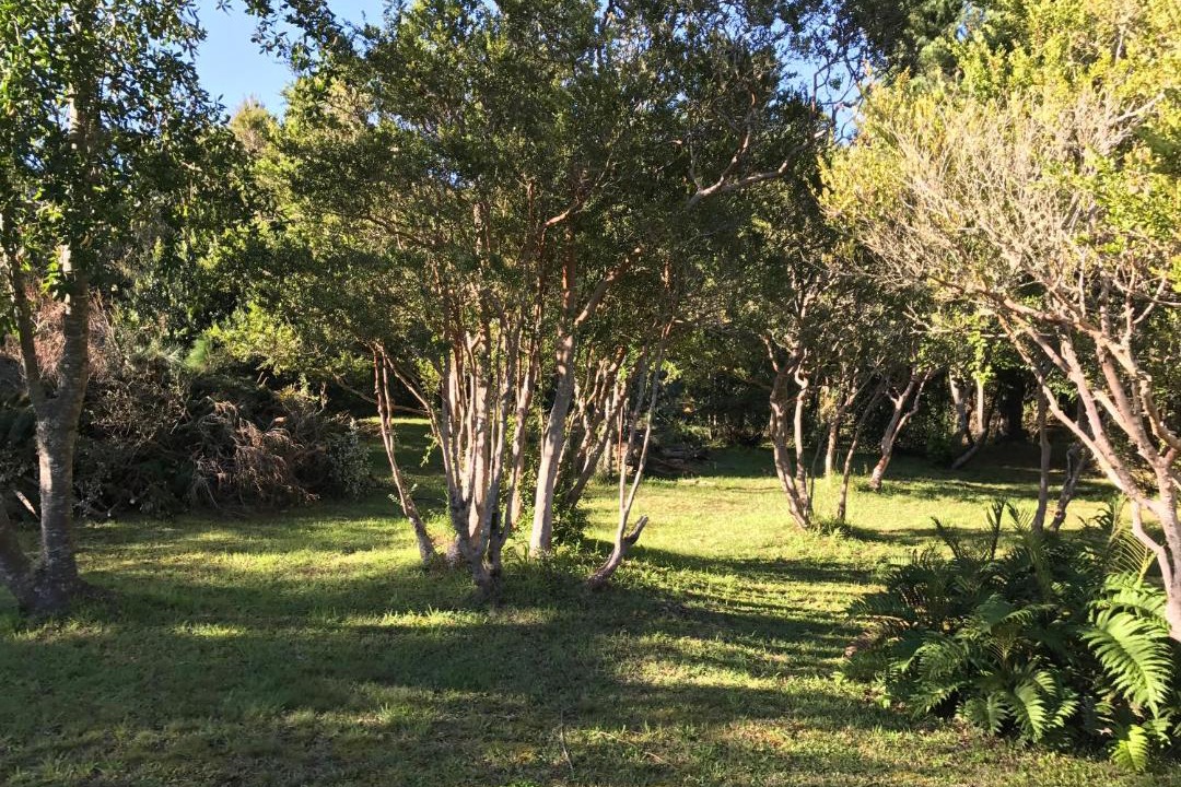 Photo of Outdoor in Pucon