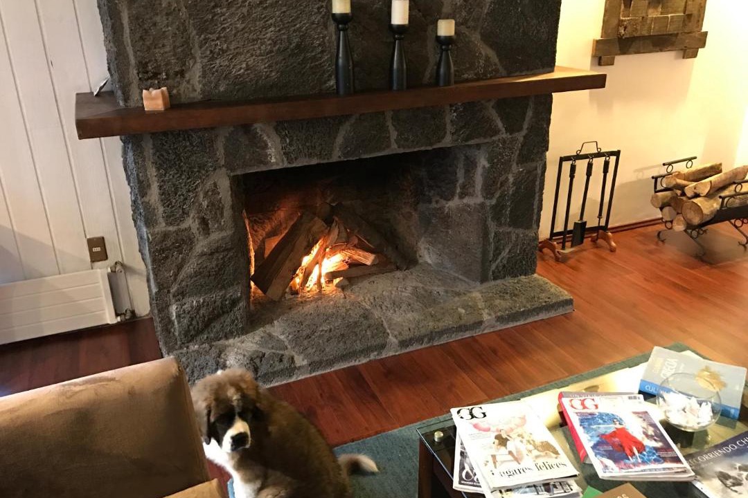 Photo of Livingroom in Pucon